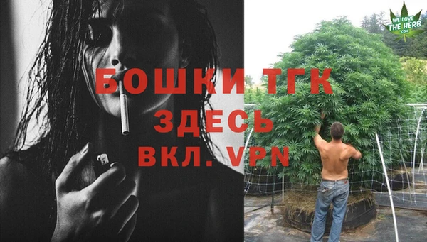 амф Заволжье
