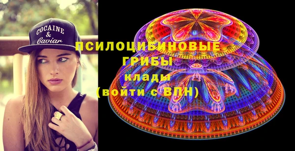 амф Заволжье