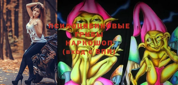 PSILOCYBIN Надым