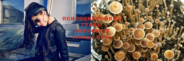 ALPHA PVP Няндома