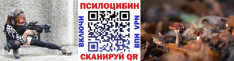 Псилоцибиновые грибы Cubensis  Плавск 